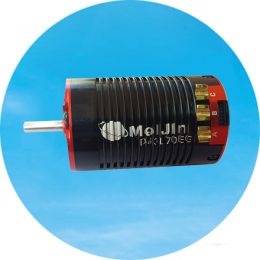 D43L70EG three-phase brushless DC motor (motor design: IC sensor, with remote control, insensitivity, inner rotor)